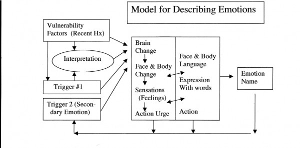 The BODY Emotions (Part 1)